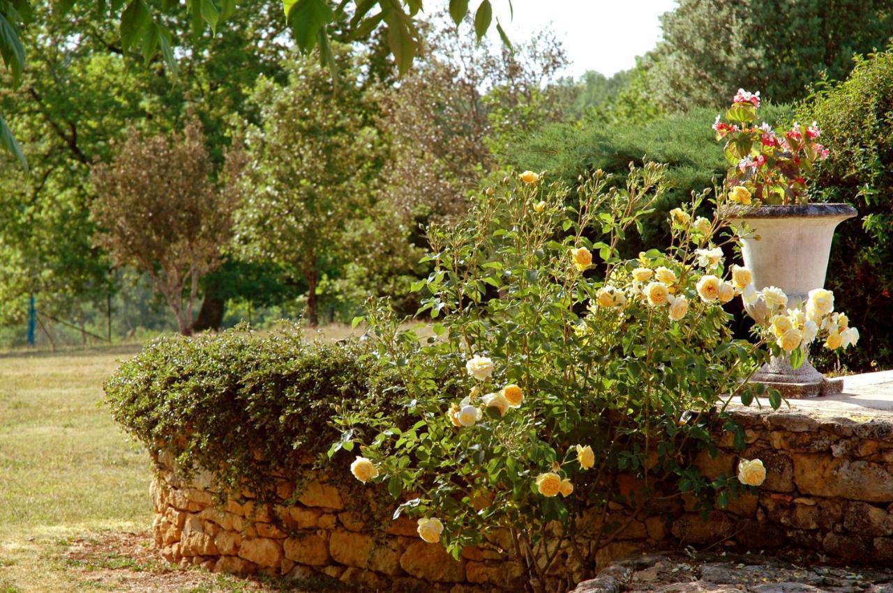 מלון Sainte-Croix-de-Beaumont La Borie Du Chevrier מראה חיצוני תמונה